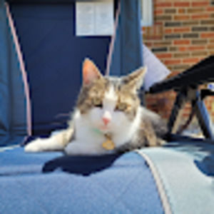 Meet your Posher, Angie